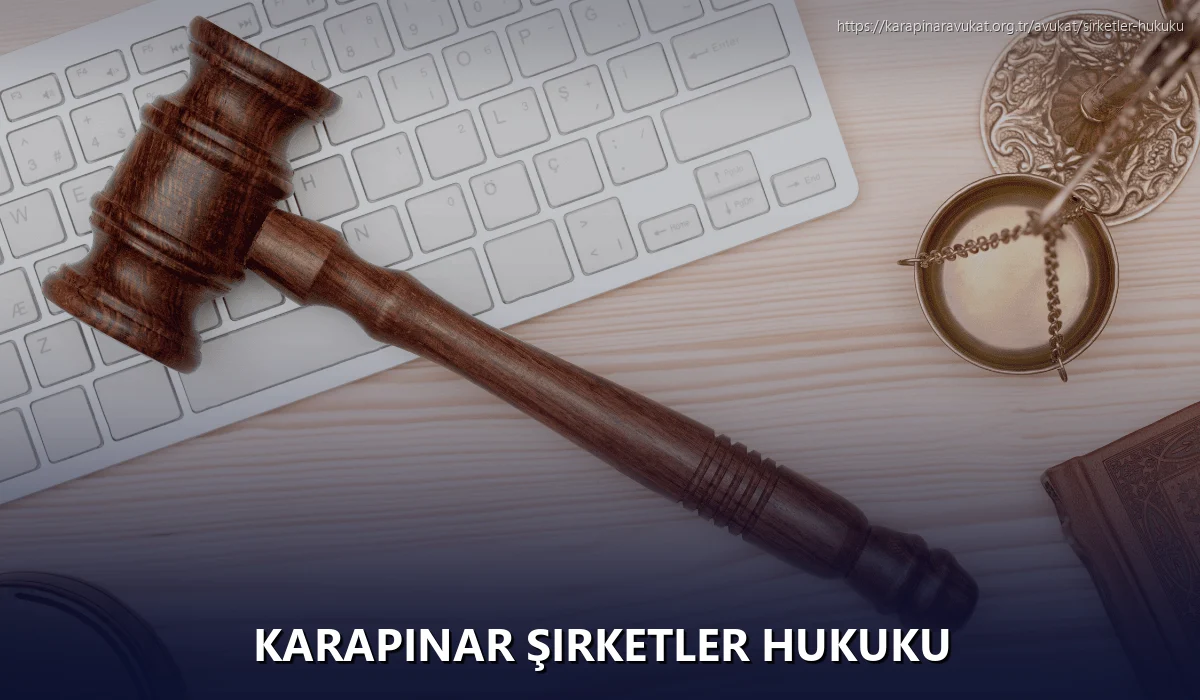 Karapinar Şirketler Hukuku